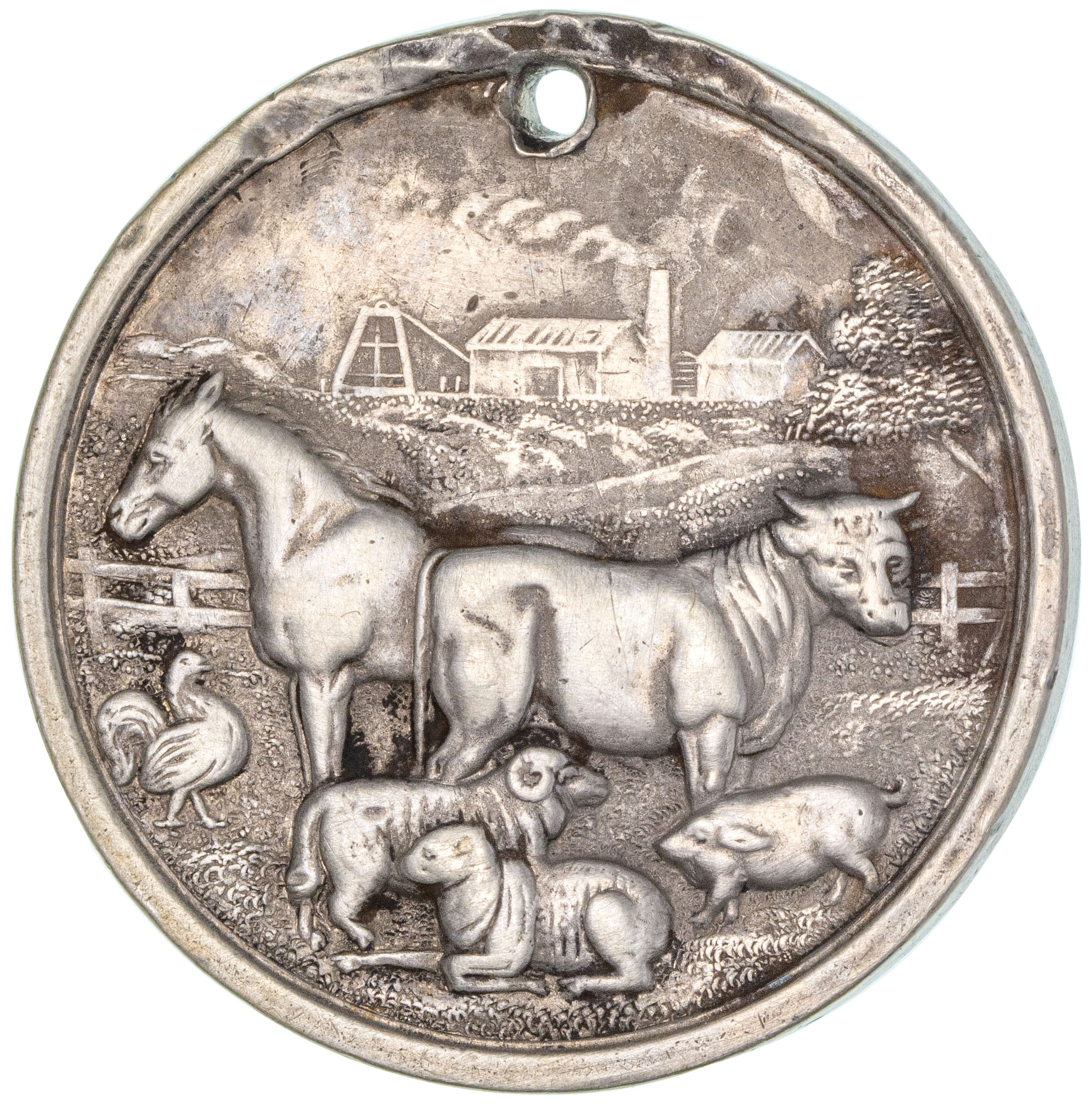 Warialda Pastoral & Agricultural Association, 1893, VF