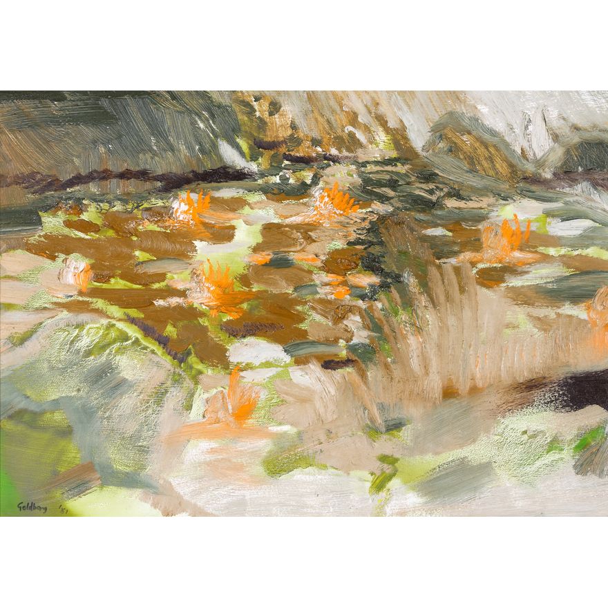 Suzanne Goldberg ‘Waterlily Pond’