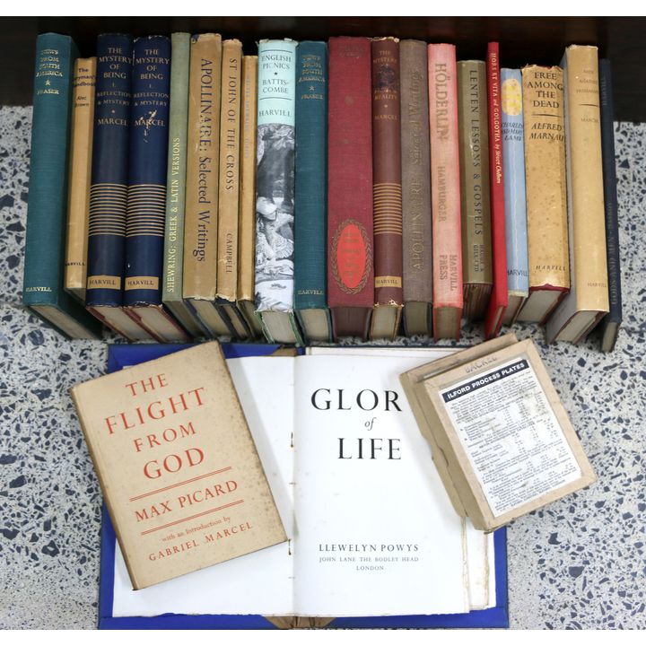HAGUE, GILL & DAVEY, HARVILL PRESS [and other publishers], Box of books ca 1930's -18 titles and 25 Glass Negatives.