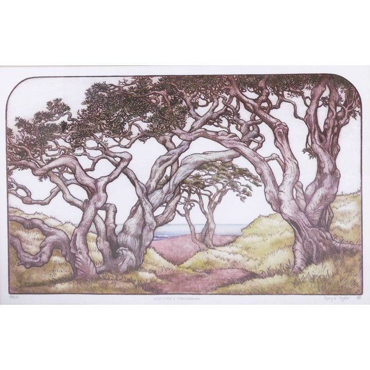 Mary Taylor 'West Coast #1' S/N Etching Framed- 19x25''