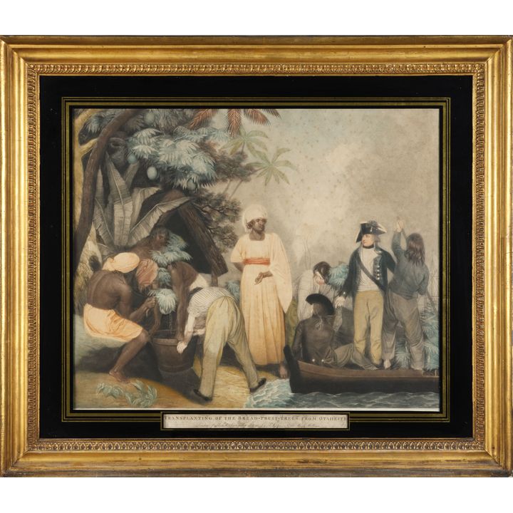 Thomas Gosse 'Transplanting of The Breadfruit Trees from Otaheite'