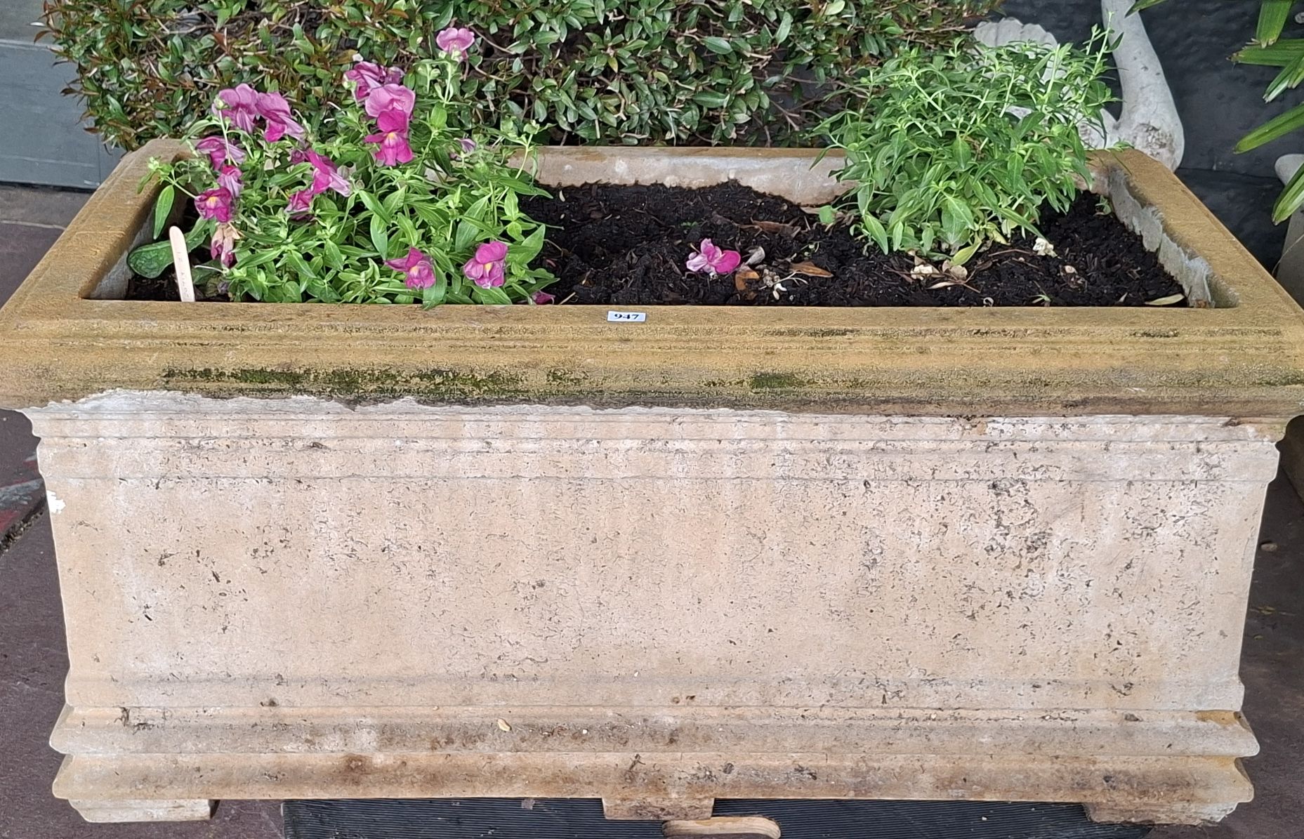 LARGE TROUGH POT
