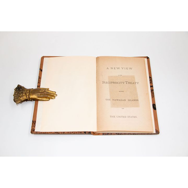 A NEW VIEW OF THE RECIPROCITY TREATY BETWEEN THE HAWAIIAN ISLANDS AND THE UNITED STATES.