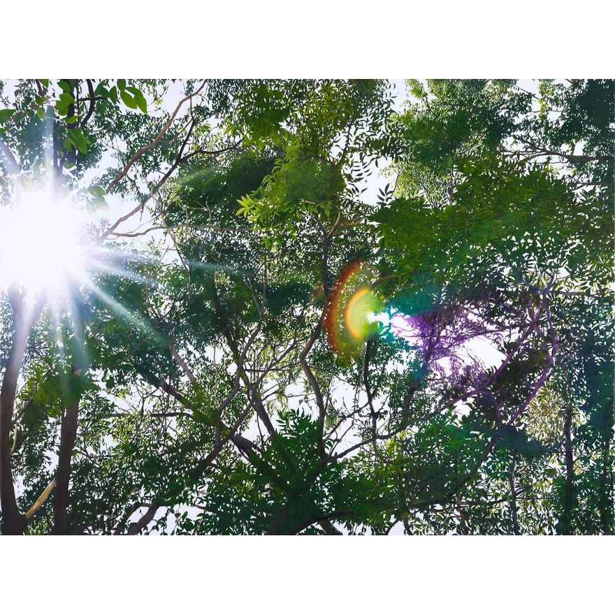 Trenton Garratt 'A Place Beneath the Trees'