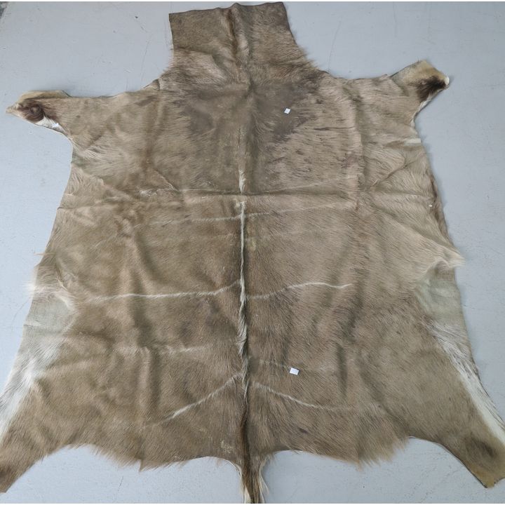 KUDU HIDE
