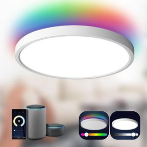 TALOYA SMART CEILING LIGHT, APP CONTROL COMPATIBLE WITH ALEXA ECHO GOOGLE HOME, 12 INCH DIMMABLE FLUSH MOUNT CEILING LIGHT FOR BED