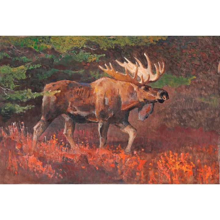 Bob Kuhn (1920-2007), Moose