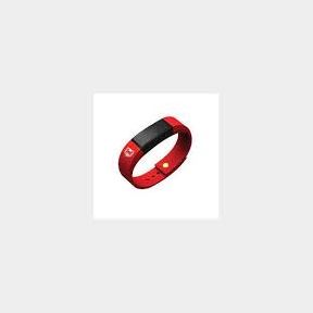 The Castle lager - Heartbeat Smart device- 51489/116 P6 (A2)