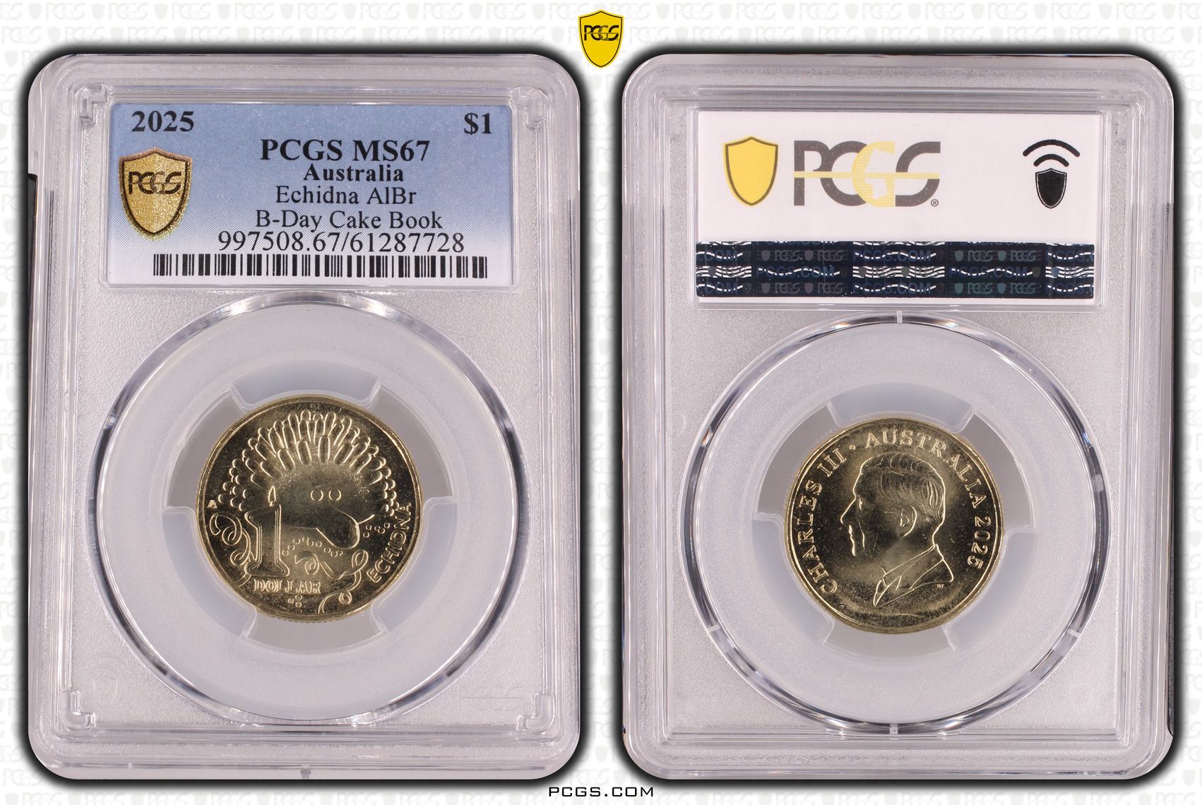 Echidna AlBr B-Day Cake Book, One Dollar, 2025, PCGS MS67