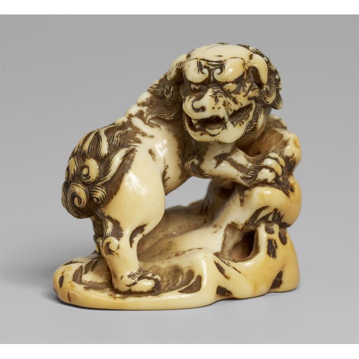 An ivory netsuke of a shishi by a rock. Late 18th century