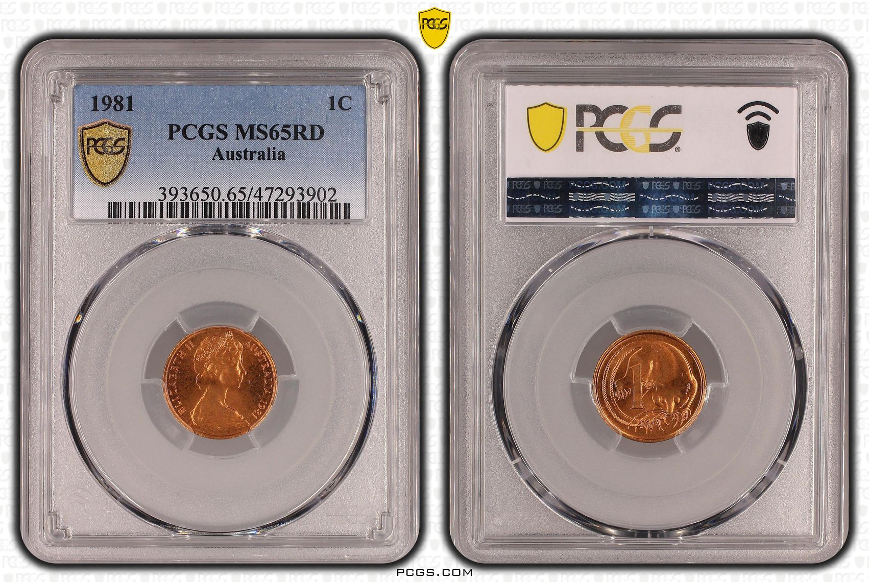 80 · Elizabeth II,  , One Cent, 1981, PCGS MS65RD
