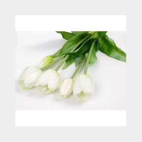 5 Piece Artificial Tulips Flowers PU Real Touch Bouquet - White | Bar 9902188672394 - 51745/1707