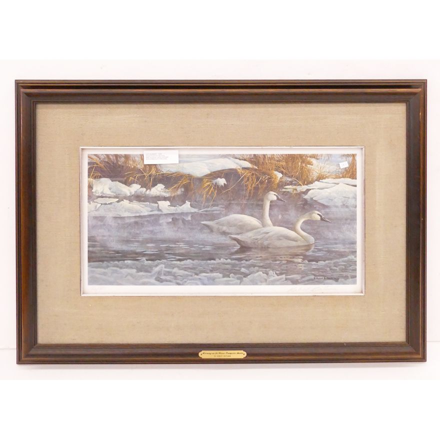 Robert Bateman 'Morning on the River, Trumpeter Swans' S/N Lithograph- 22x32'' framed