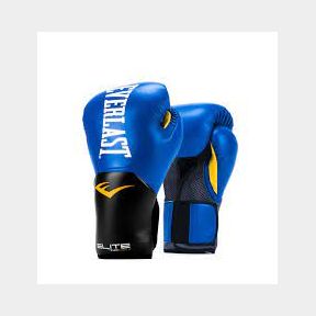 Everlast Pro Style Elite Training Gloves - Blue - 14oz-51484/5411 | (D) AS B6 (S2)