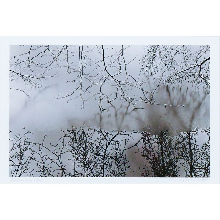 Mary Randlett ''January 1992'' (Branch Reflections) Silver Photograph