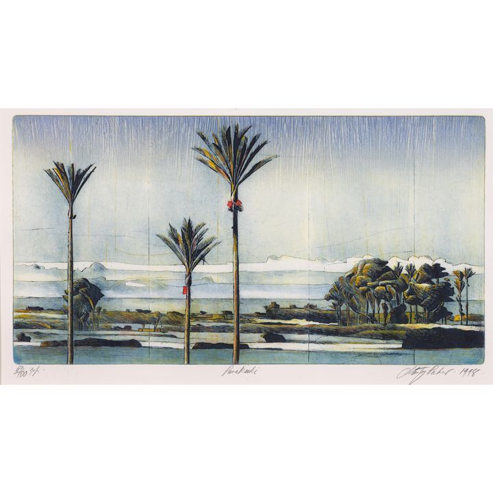 Stanley Palmer, 'Punakaiki (63/100)'