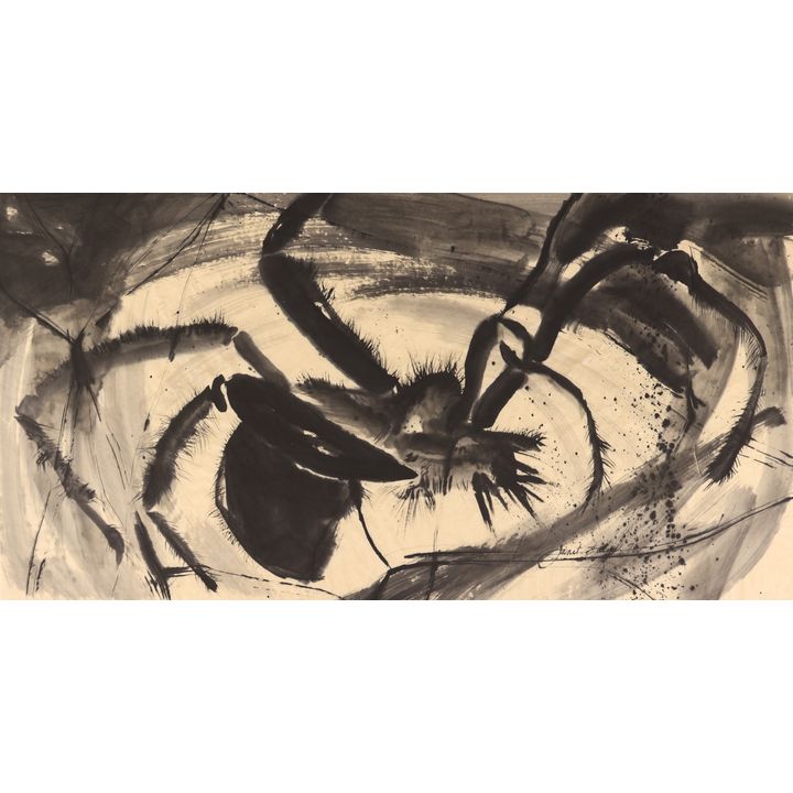 Janet Laurel ''Spider's Web'' 1976 Sumi Ink