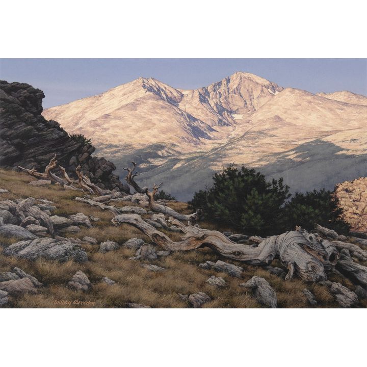 William Breedon (20th Century), Longs from Twin Sisters, 1988