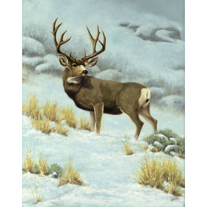 Greg Wilson (1962- ), Mule Deer Buck