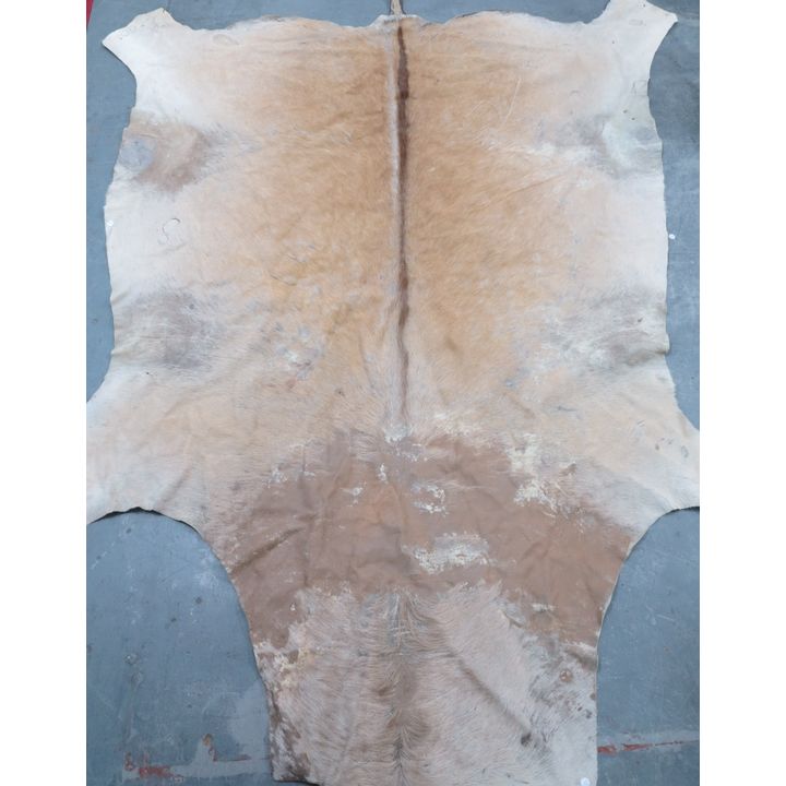 ANIMAL HIDE