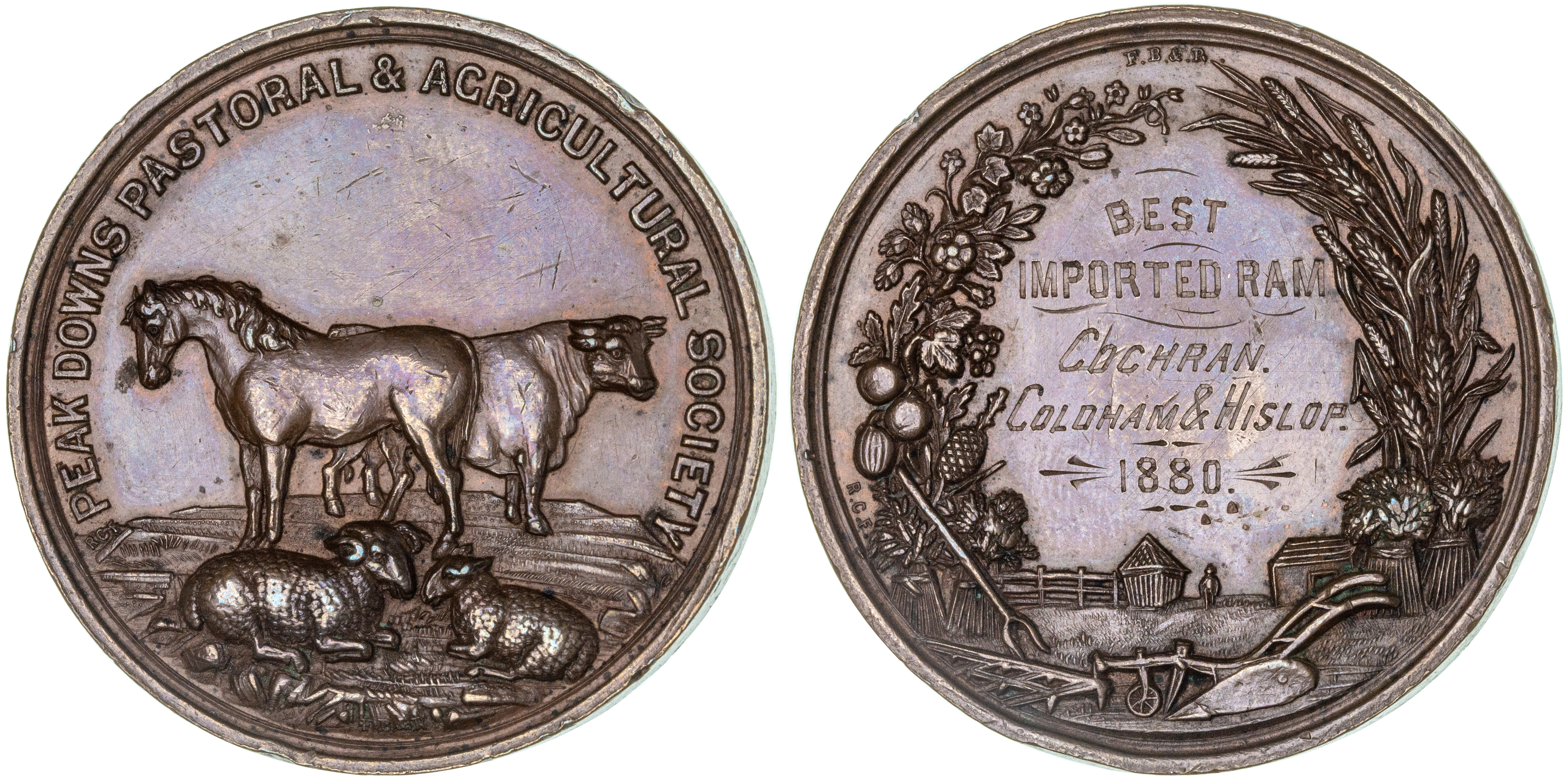 113 · Queensland, 1880, aEF