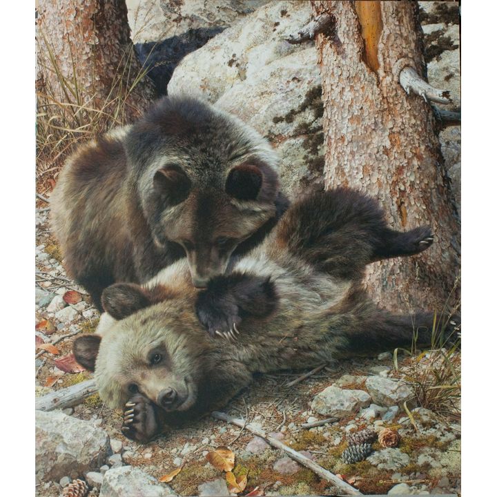 Carl Brenders (1937- ), Rough and Tumble