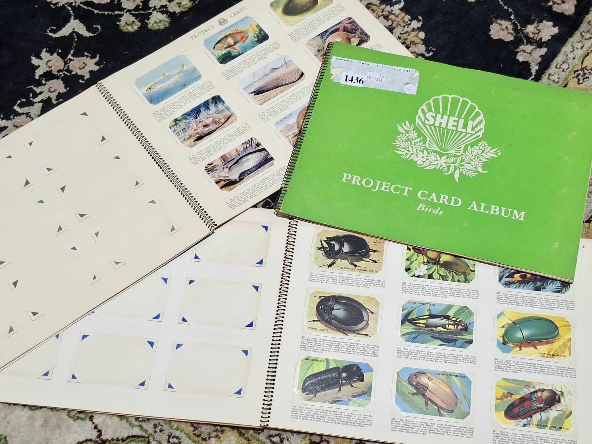 Three Shell Project Card Albums