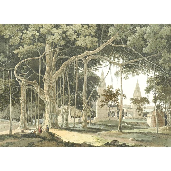 Antique Thomas Daniell (1749-1840 United Kingdom) 'Hindoo Temple at Agouree, on the River Soane, Bahar' Aquatint Etching, published 1796- Unframed 20.5x27.5''
