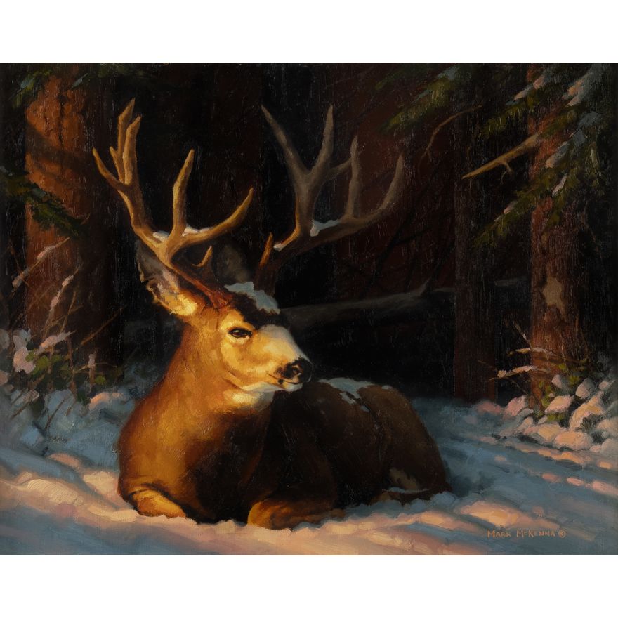 Mark McKenna (1984- ): Winter's Royal Haven, 2014
