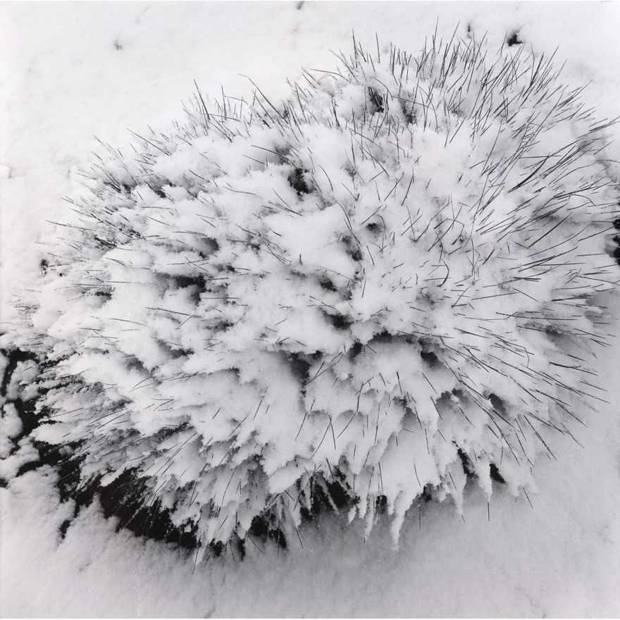 Peter Peryer 'Ruapehu'