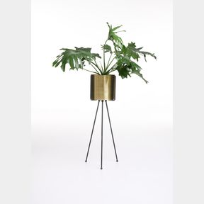 Lana planter with stand gold | 1 PLANTER DAMAGED