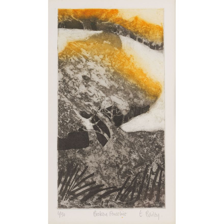 Elizabeth Bailey 'Broken Fenceline'