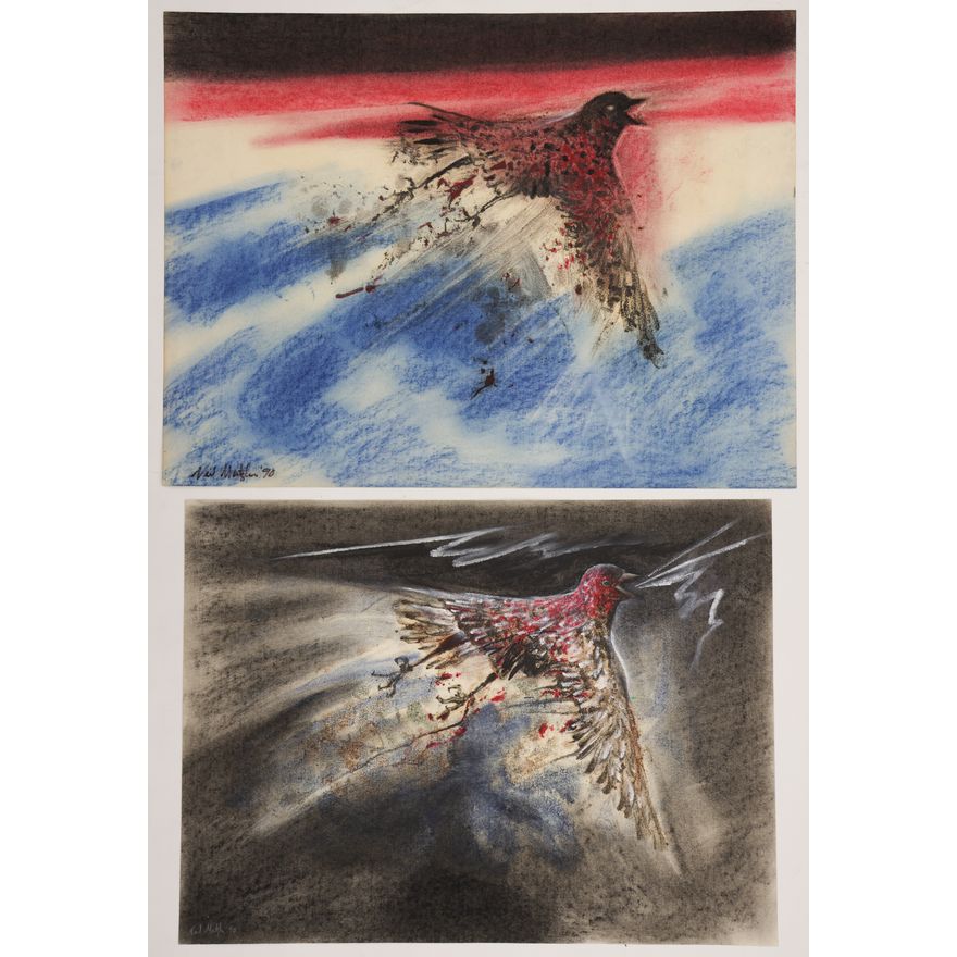 2pc Neil Meitzler 1990 Mystic Bird Artworks on Paper 18''x24'' Largest