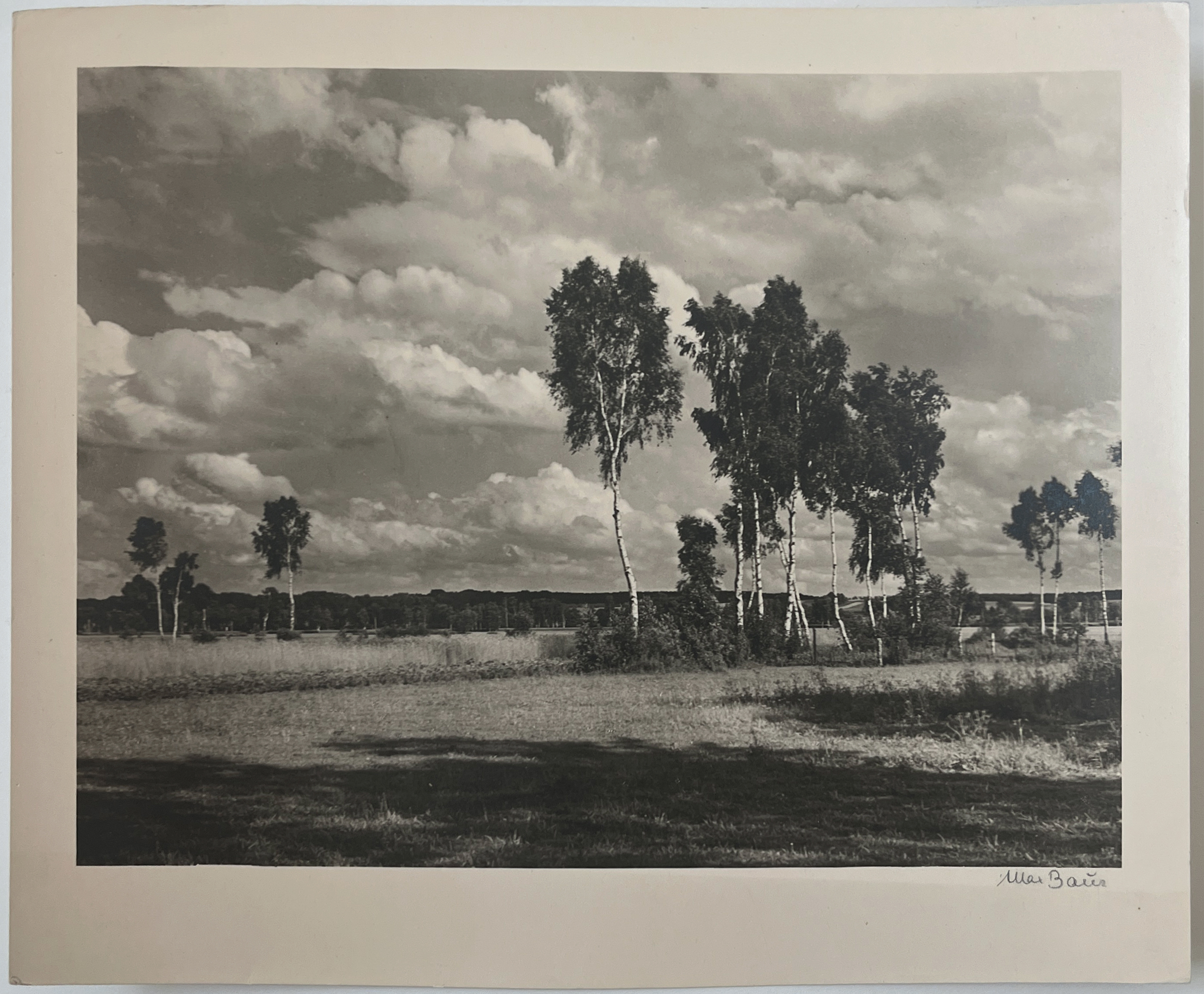 Image cover