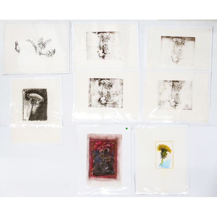 8pc Neil Meitzler Floral Artworks & Signed Prints 20''x26'' Largest