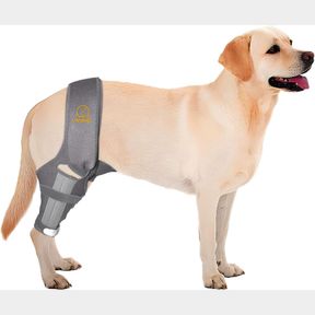 GREY L DOG KNEE BRACE FOR CRUCIATE LIGAMENT INJURY JOINT PAIN MUSCLE SORENESS. ADJUSTABLE DOG LEG BRACE, DOG SUPPORT BRACE,DOG HIN