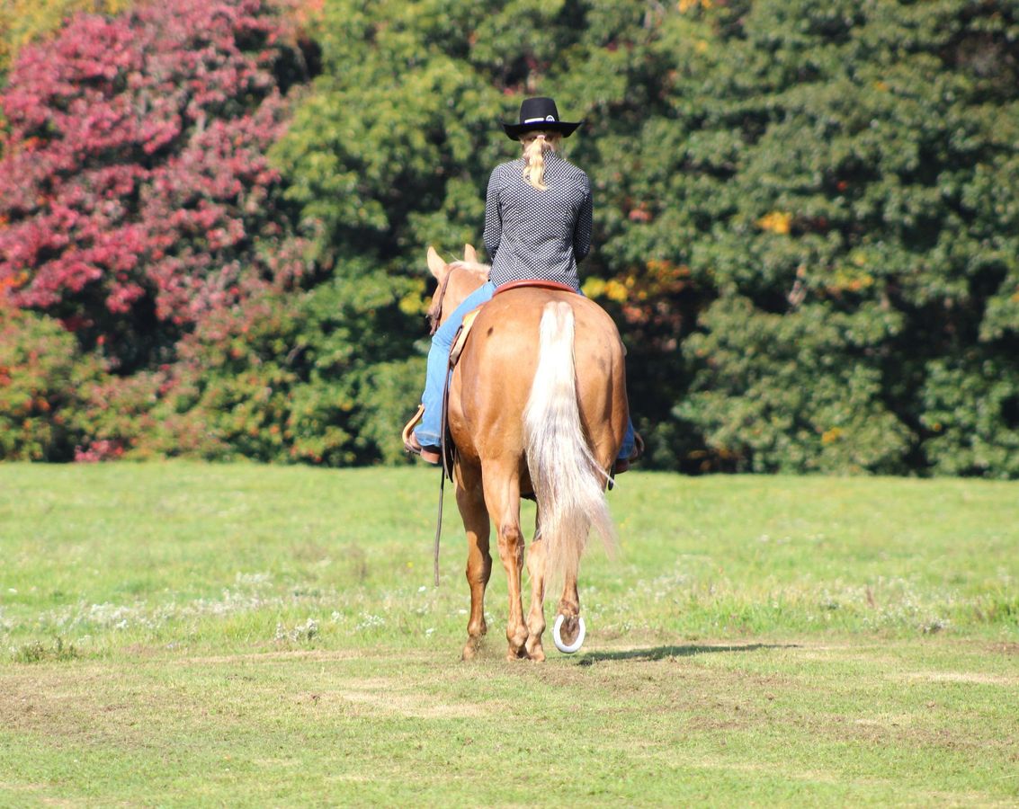 POPEYE Horse Bid, LLC