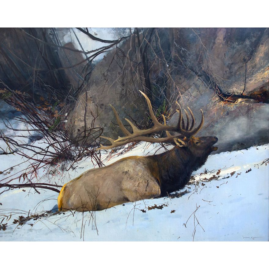 Elk by Michael Coleman (1946- )