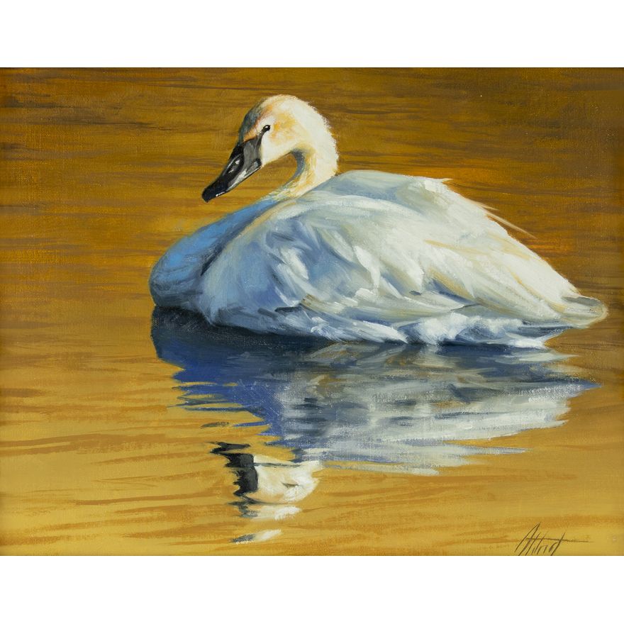 Edward Aldrich (1965- ): Trumpeter Swan
