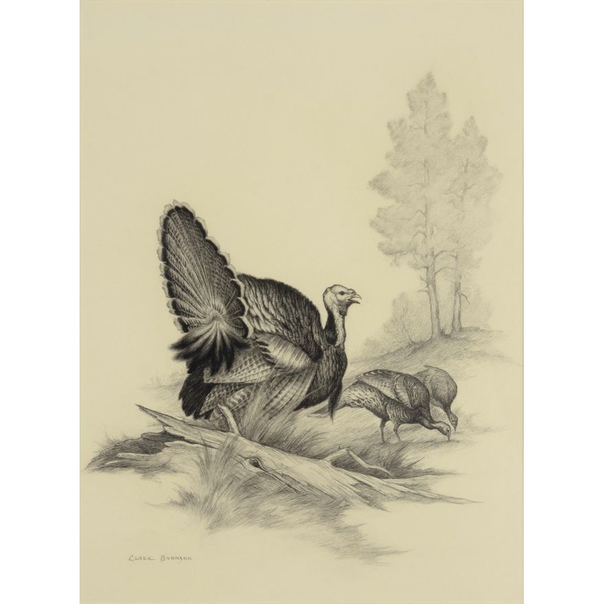 Clark Bronson (1939- ), A Rafter of Turkeys