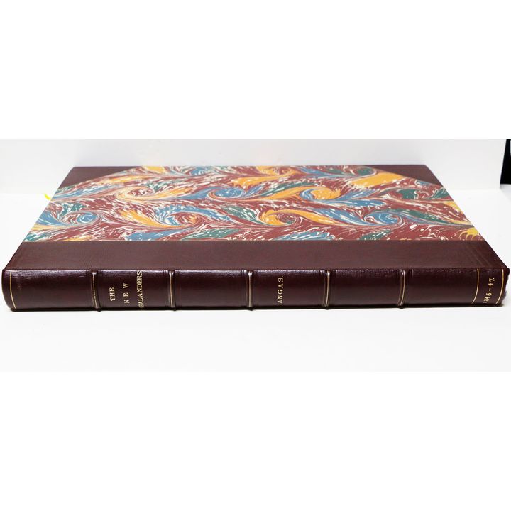 ANGAS, GEORGE FRENCH - The New Zealanders Illustrated