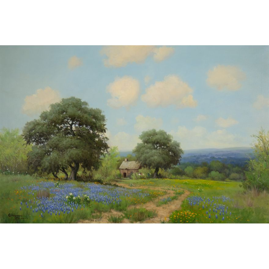 G. Harvey (1933-2017), Bluebonnets