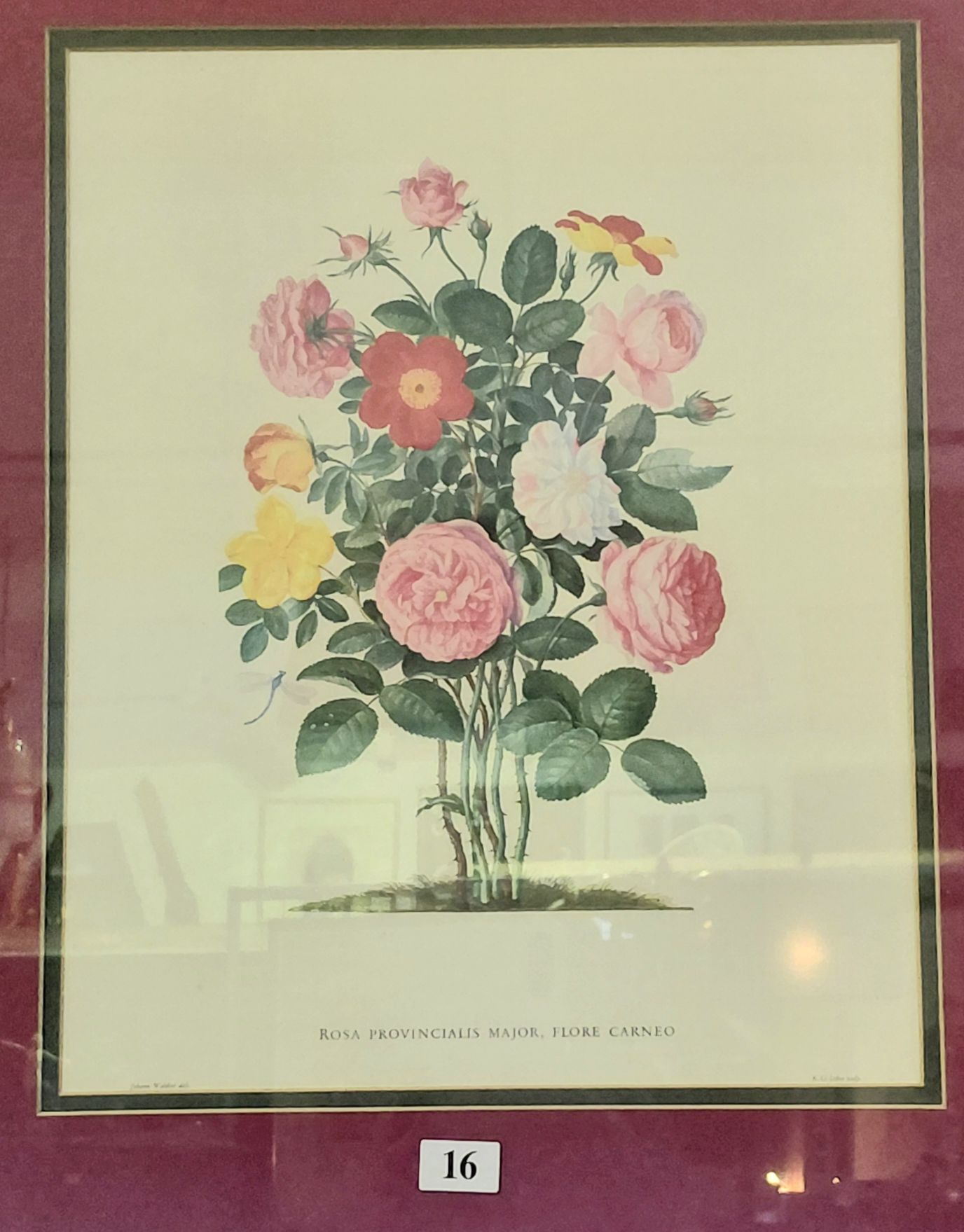 Framed Floral Print