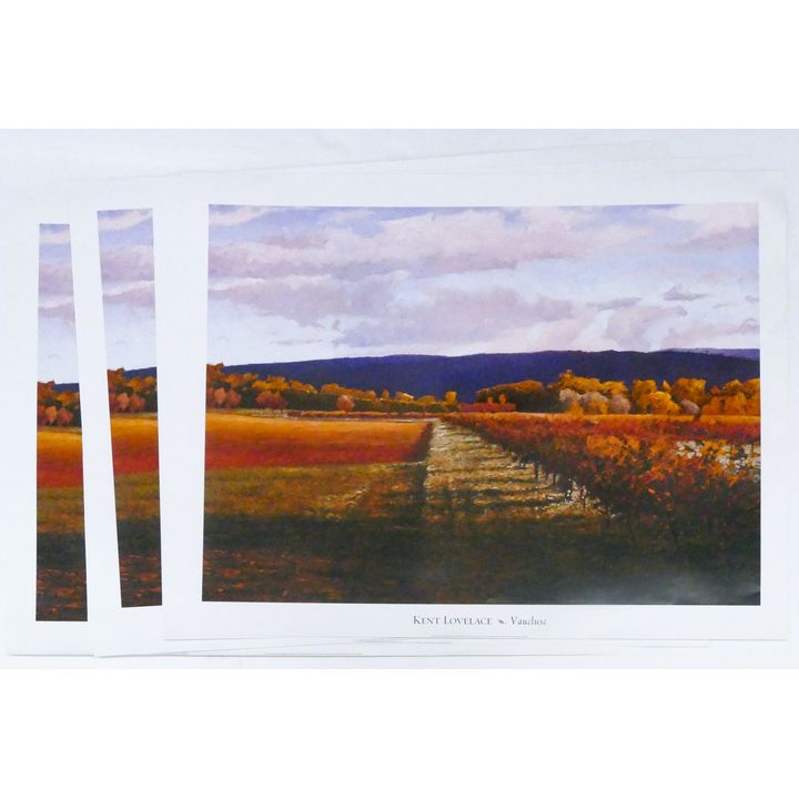 11pc Kent Lovelace ''Vaucluse'' Posters 35''x44'' Sheets.