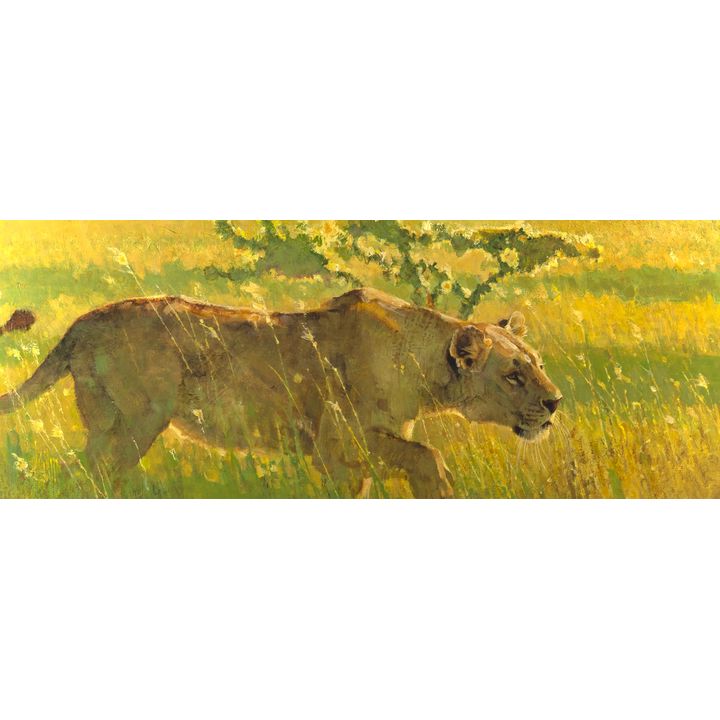 Bob Kuhn (1920-2007), Lioness