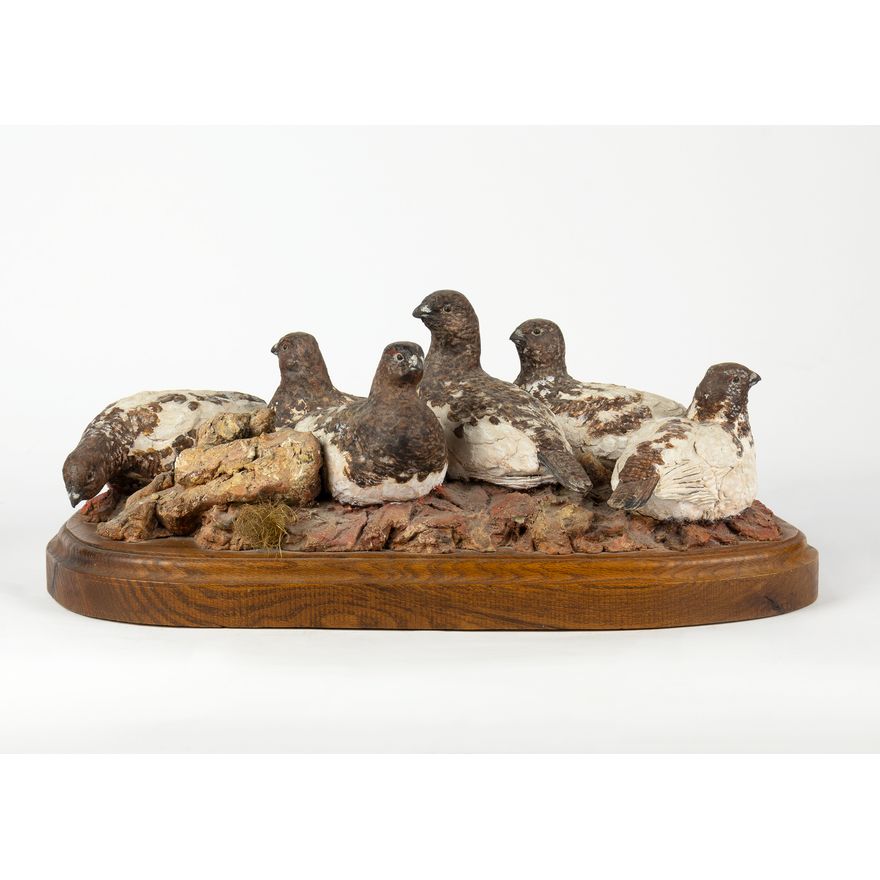 Joe Halko (1940-2009): Mountain Grouse, 1981