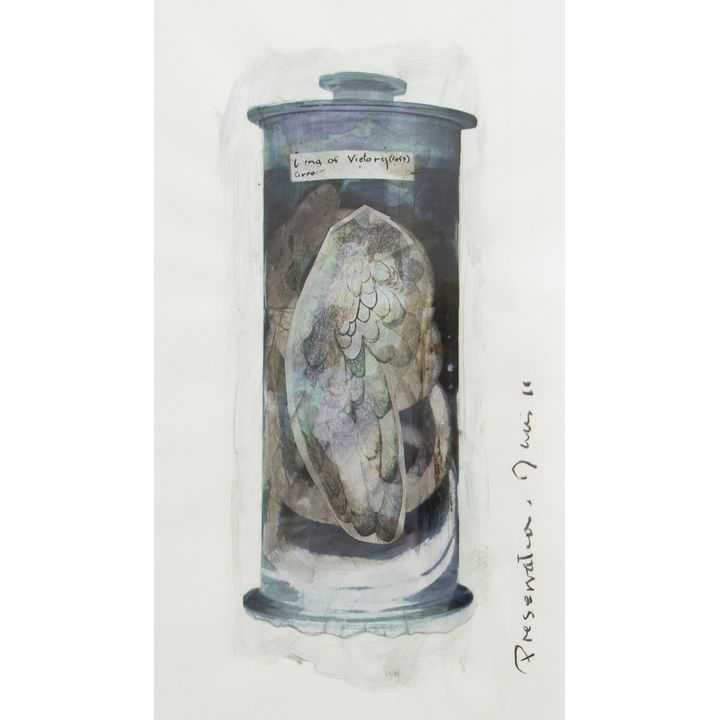 Greer Twiss 'Preservation'