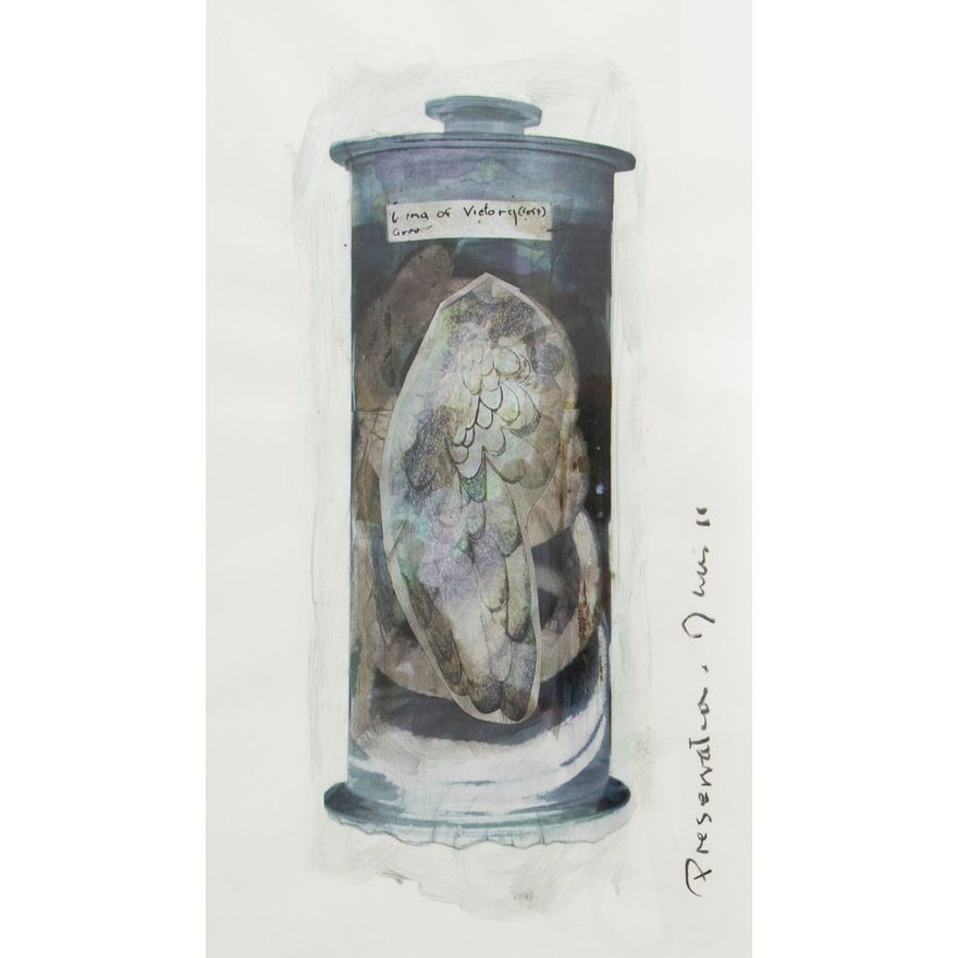 Greer Twiss 'Preservation'
