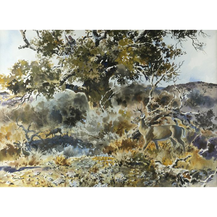 John Cowan (1920-2008), Tree Blind