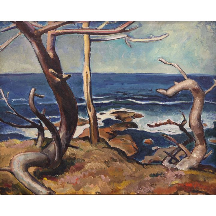 Oregon ''Sea Bleached Spruce'' Oil Painting Framed